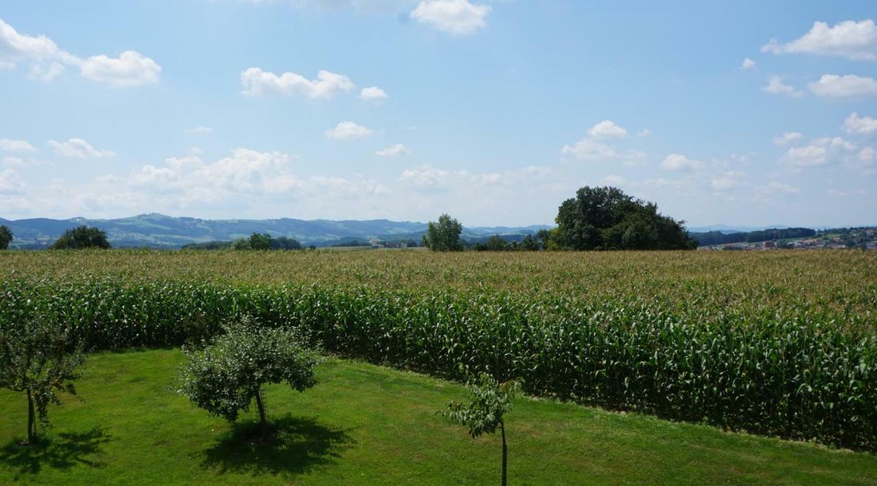 Landhaus Schaidreith Ferschnitz Kültér fotó